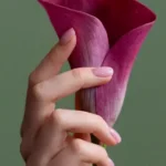 Mão Segurando Flor