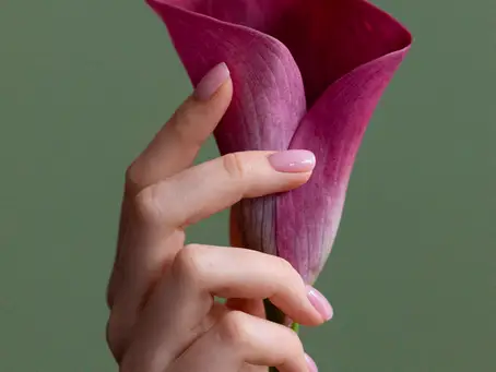 Mão Segurando Flor